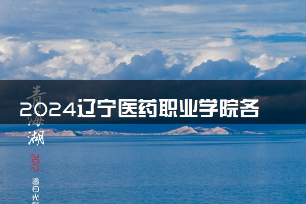 2024辽宁医药职业学院各省录取分数线是多少 最低分及位次