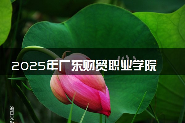 2025年广东财贸职业学院多少分能考上 最低分及位次