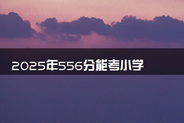 2025年556分能考小学教育专业吗 556分小学教育专业大学推荐