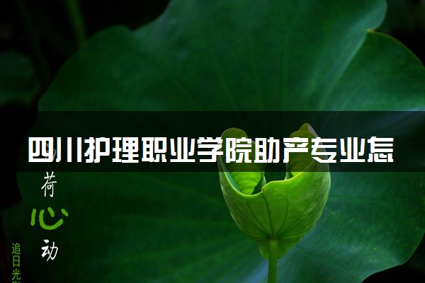 四川护理职业学院助产专业怎么样 录取分数线多少