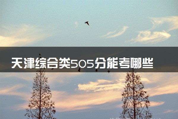 天津综合类505分能考哪些大学 2025考生稳上的大学名单