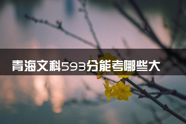 青海文科593分能考哪些大学 2025考生稳上的大学名单