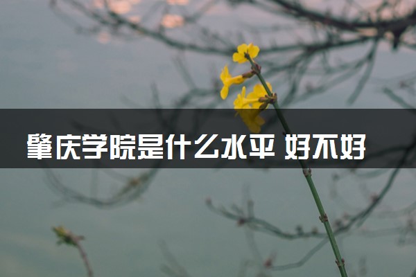 肇庆学院是什么水平 好不好考