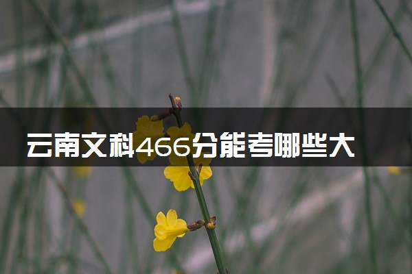 云南文科466分能考哪些大学 2025考生稳上的大学名单