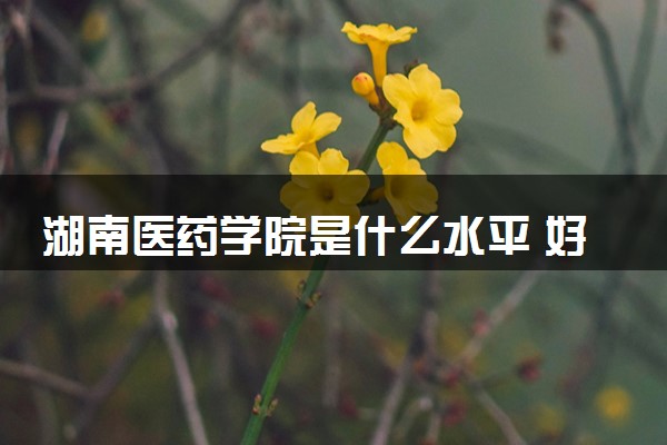 湖南医药学院是什么水平 好不好考